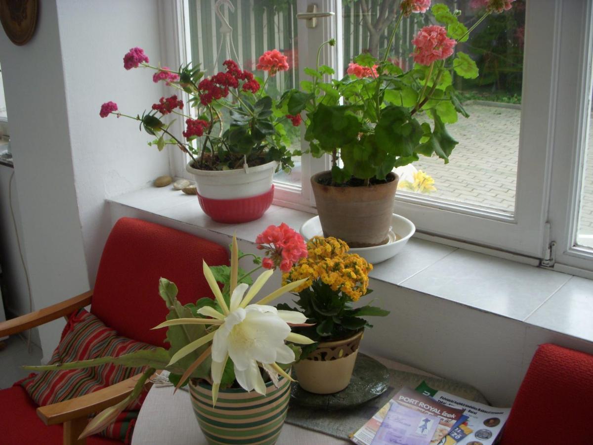 Garden Szivarvany Utcai Vendeghaz Szeged Ngoại thất bức ảnh