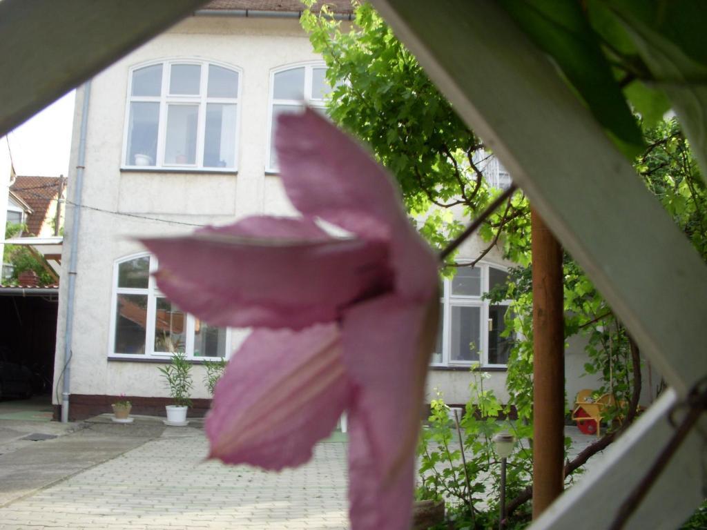 Garden Szivarvany Utcai Vendeghaz Szeged Ngoại thất bức ảnh